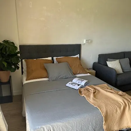Apartamento Minerva Estudio La Biznaga , And Pool *